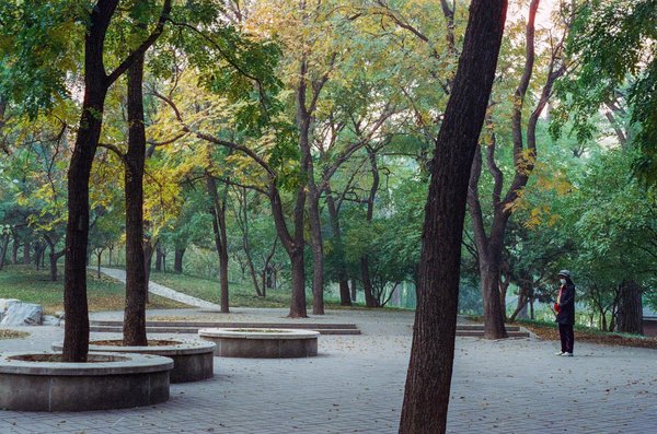 Comment la consommation de superaliments peut-elle améliorer la santé globale et comment les intégrer facilement dans votre alimentation?