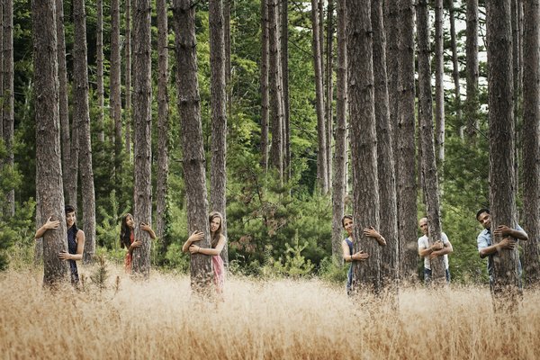Présentation de la sylvothérapie à Nantes